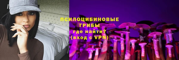метадон Алексин
