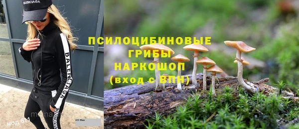 метадон Алексин
