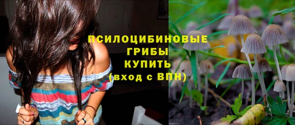 метадон Алексин